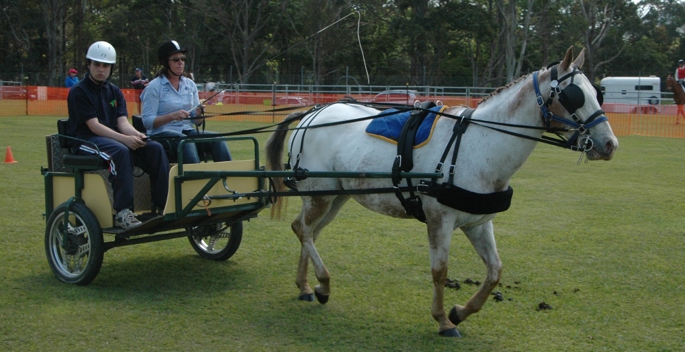 Indi carriage 2011sm